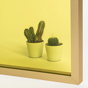 Acabamentos de vidro Amarelo Laminato de Profiltek