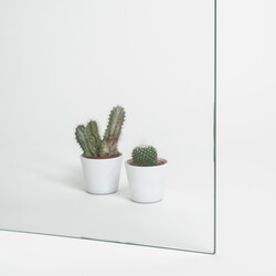 Transparente