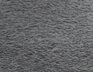 Stone texture